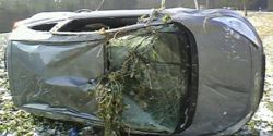 IMG0045A.jpg