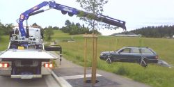 IMG0103A.jpg