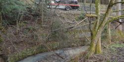 DSC_3153.jpg