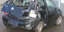 lupo_001.jpg